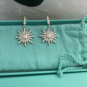 Mega Starburst Earrings 14k